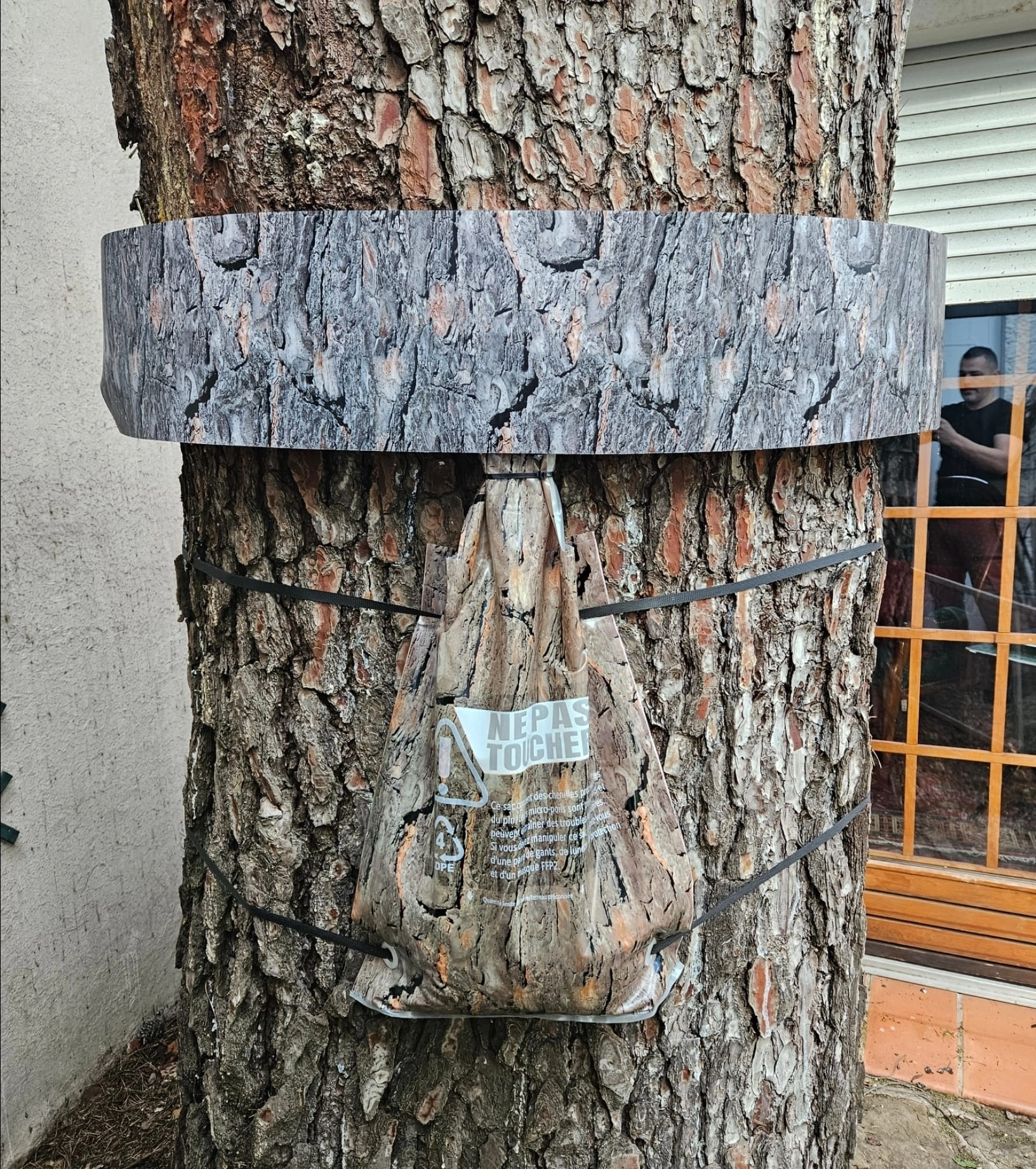 Pièges contre les chenilles processionnaires du pin à Sanary-sur-Mer