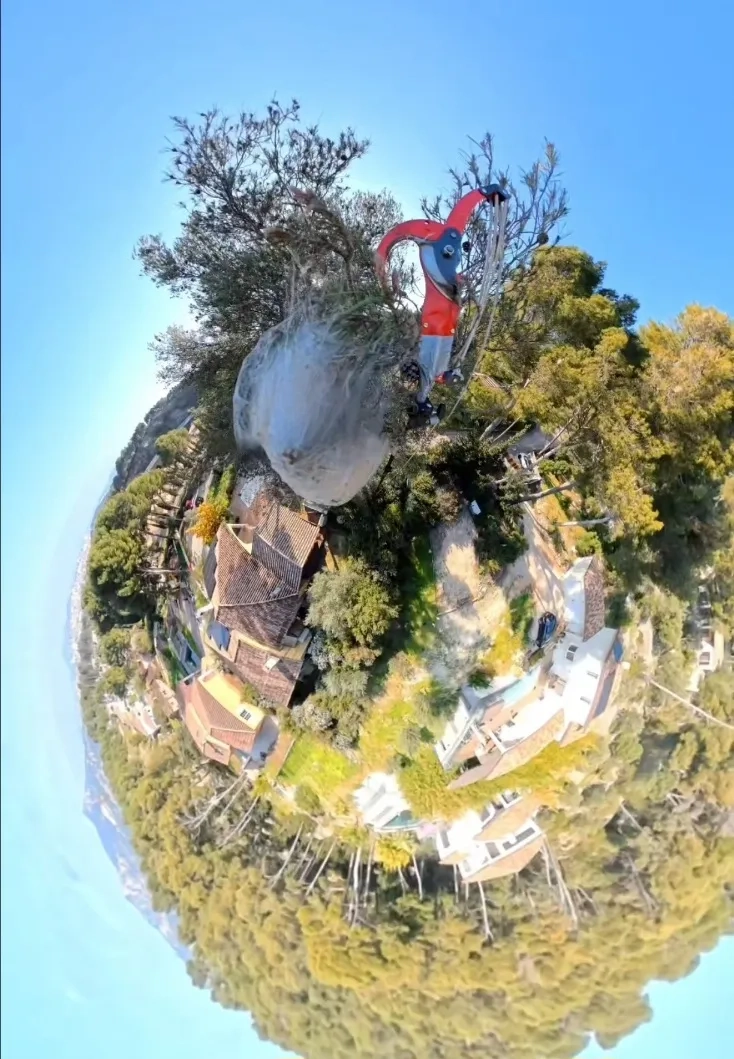 chenilles-processionnaires-ollioules-regul-nuisibles-4d