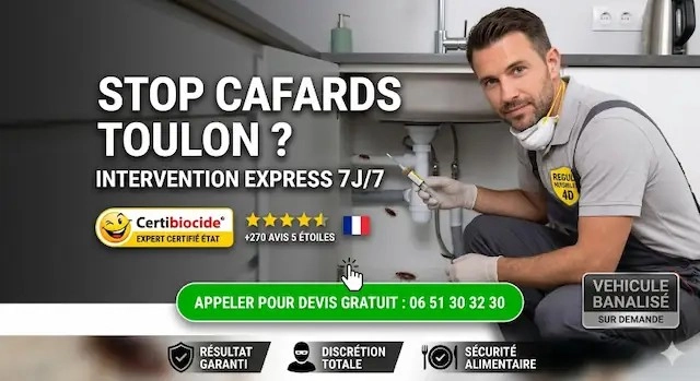 Urgence Gu&ecirc;pes et Frelons Toulon