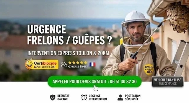 Urgence Guêpes et Frelons Toulon