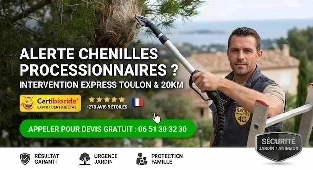 Urgence Punaises de lit Toulon