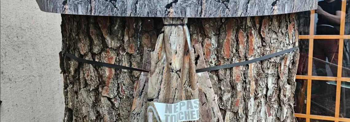 Traitement contre les chenilles processionnaires du pin à Sanary-sur-Mer par regul-nuisibles-4d