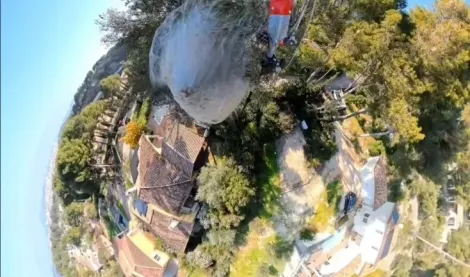 Caméra sur la perche télescopique lors de la coupe d’un nid de chenilles processionnaires du pin par Régul-nuisibles-4D 