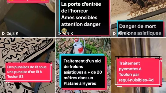 Nous sommes sur Tik Tok 